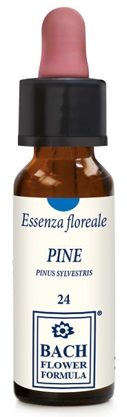 Erba Vita Pine Essenza Floreale 10ml