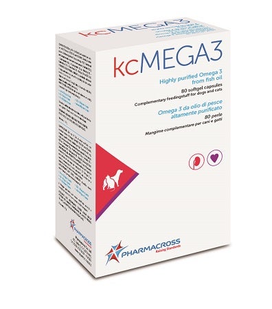 Multivitamines Senior Teva 30 comprimés 39 g