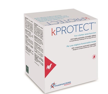 Charbon végétal 40 comprimés 16,2 g