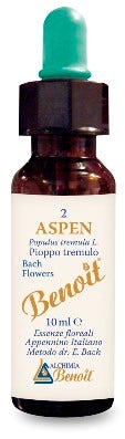 BENOIT FIORI DI BACH ASPEN