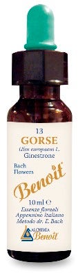 Sitarama Henné Noir Poudre Végétale Colorante Refletante 100g