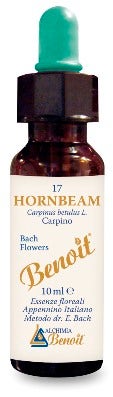 BENOIT FLEURS DE BACH HORNBEAM