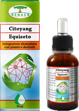 ISOSTAD POUDRE HP CITRON 400G