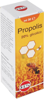 Extrait sec de ginkgo biloba 60 comprimés