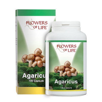 Petreet Thon, riz et crevettes, nourriture humide pour chats adultes, boîte de 85 g