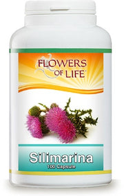 SILIMARINE 100 gélules FLOWERS OF L