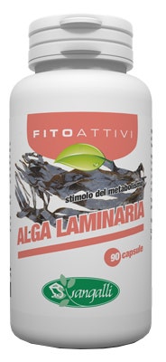 Vetramil Dermashampoo au miel pour chiens 150 ml