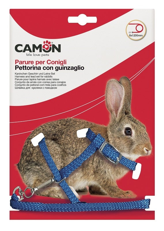 Camon Peigne en acier à pointes recouvertes, taille XL, pour chiens/chats