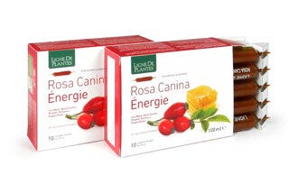 Longlife Curcuma 60 gélules