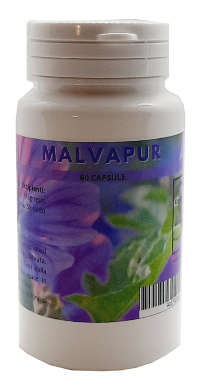 MALVAPUR 60CPS