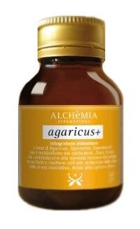 ULMUS CAMPEST GEMME MG 30ML