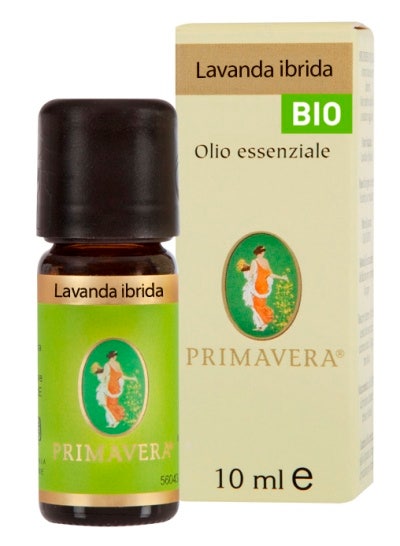 Ergitin 10 ampoules de 10 ml