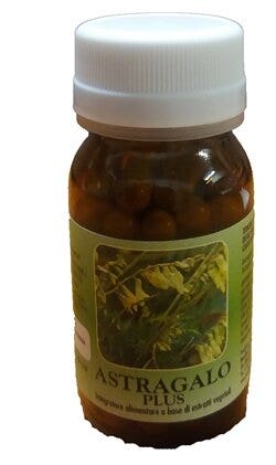 Piaceri Mediterranei Tartelettes à la crème de noisettes 4x50g