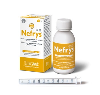 Jamieson Daily Liver Detox 30 comprimés