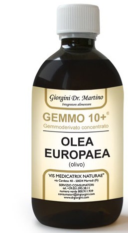 PRUNELLIER 100ML ANALCO GEMMO10+