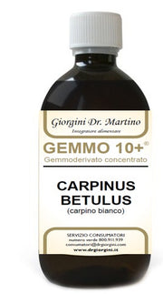 CARPINO BI 500ML ANALCO GEM10+