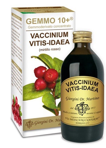 Dr Giorgini Liquido Analcolico Mirtillo Rosso Gemmo 10+ 200ml