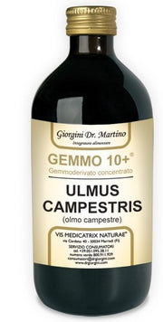 ORME CAMP 100ML SANS ALCOOL GEMM10+