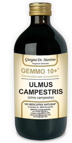 ORME CAMP 100ML SANS ALCOOL GEMM10+