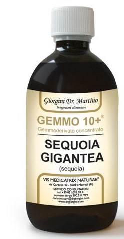 BOULEAU BI 100ML ANALCO GEM10+