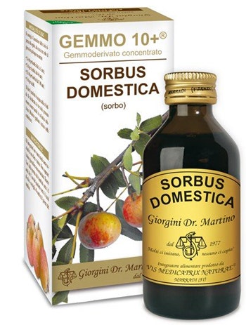 Mélatonine Forte 30 comprimés