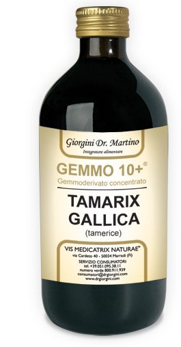 Dr.Giorgini Gemmo 10+ Olivier Liquide sans alcool 100 ml