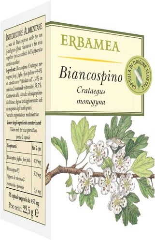 Erbamea Huile de millepertuis 100 ml