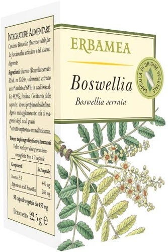 Erbamea Junior Énergie Fluide Concentré 200 ml
