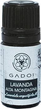 Probiotic P-450 12 sticks monodoses 10 ml