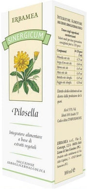 Erbamea Thé Rooibos Infusion 20 sachets filtrants monodoses