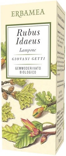 Erbamea Guarana 50 gélules