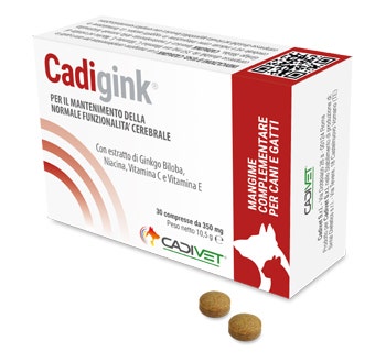 Vegelin Junior 60 bonbons gélifiés