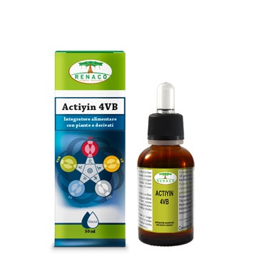 Renaco Actiyin 4VB, gouttes, 50 ml