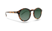 Lunettes de soleil pour homme, modèle Leonardo