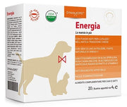 Pedigree Dentastix Snack Hygiène buccale Chiens de taille moyenne 3 snacks