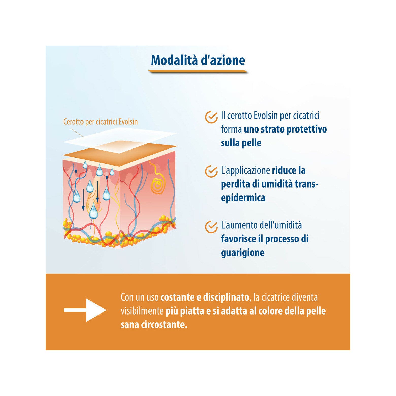 Evolsin Pansement transparent pour cicatrices de tout type 2 mètres