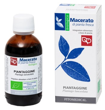 Mam Perfect Sucette en silicone neutre 1 pièce 2-6 mois