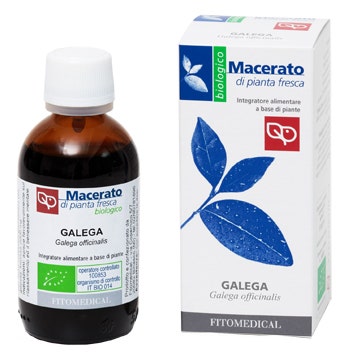 Fitomedical Galega Teinture Mère Bio 50 ml