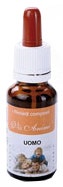 DSM MON PLATIN GEL A/CELL