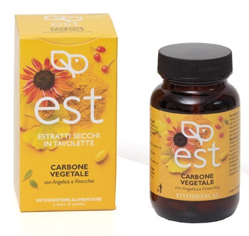 CHARBON VÉGÉTAL ES 60TAV