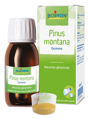 Naturplus Tisane Échinacée 20 sachets de 30 g
