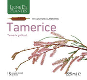 TAMERICE 15AMPOLLE