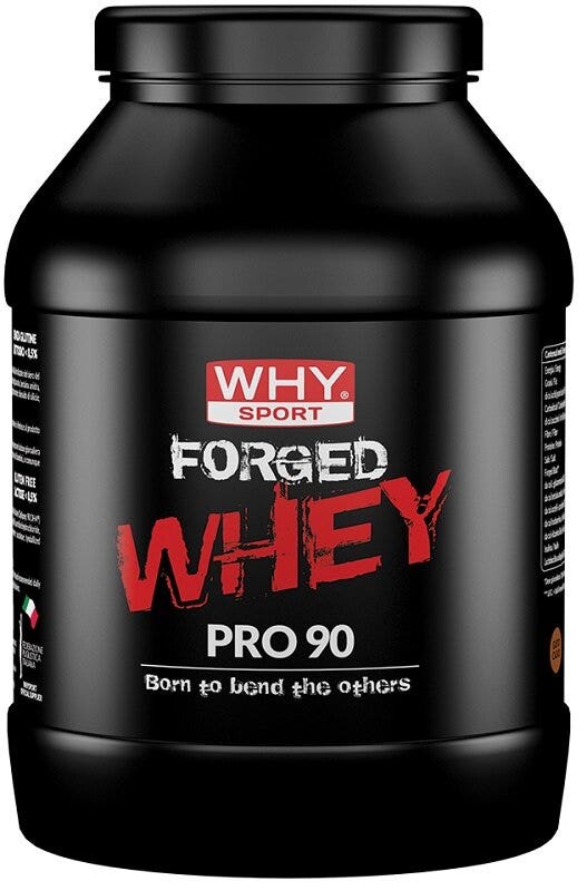 WHYSPORT FORGED WHEY CACAO 900 g