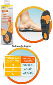 Dr Scholl Zone lombaire Lombalgie plantaire Soulagement de la douleur Taille S