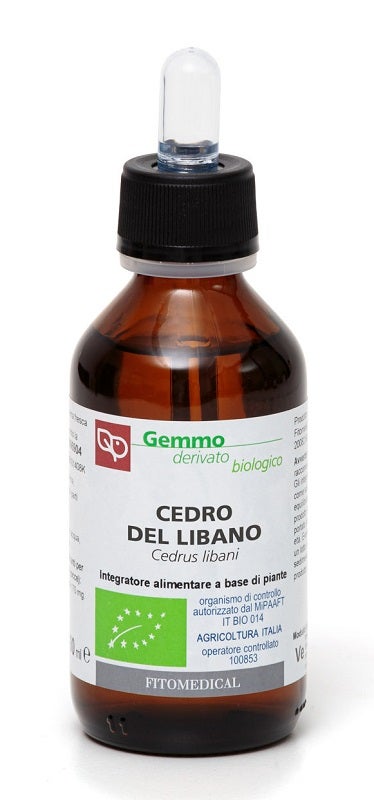 Cèdre du Liban, extrait de bourgeons bio 100 ml