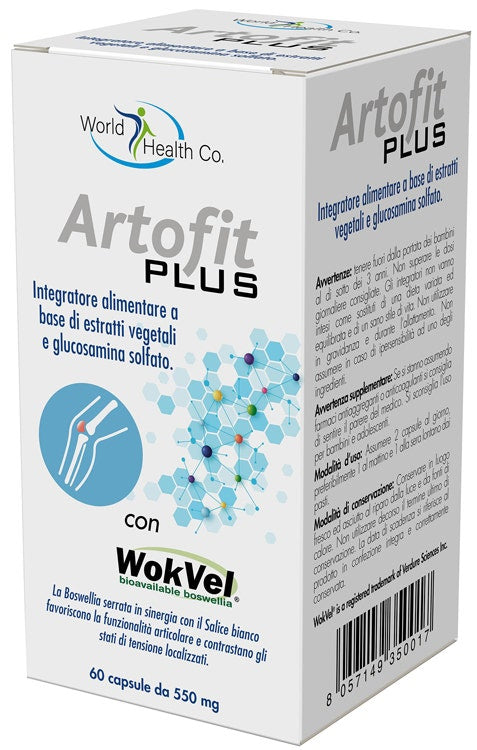 ARTOFIT PLUS 60 COMPRIMÉS