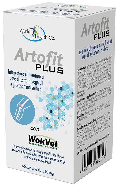 ARTOFIT PLUS 60 COMPRIMÉS