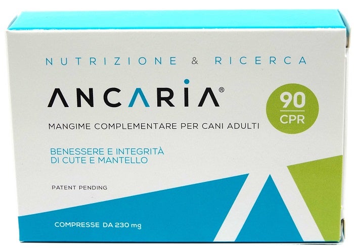 ANCARIA 90 comprimés