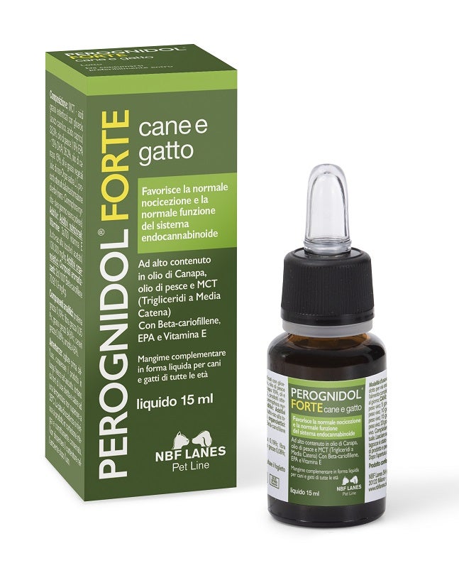 Euphidra Eyeliner Feutre Waterproof 1