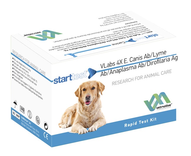 VetMotive Start Test Vlabs 4x (Canis Ab Lyme Ab Anaplasma Ab Dirofilaria Ag) 5 kits de test